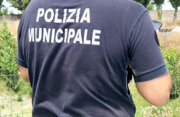 Vigile